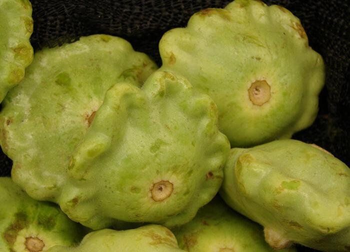 Патиссоны: путь к успешному урожаю