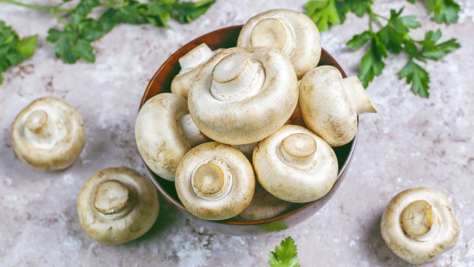 Такие шампиньоны лучше обходить за версту: вот как вычислить «тухлятину»