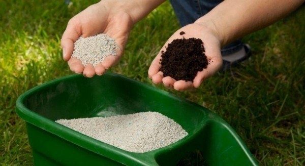 Как весной подкормить плодовые деревья для рекордного урожая?