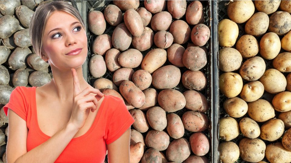 ������ �������� ������: ��� ��-�� ���� ��������� ���������� � �����