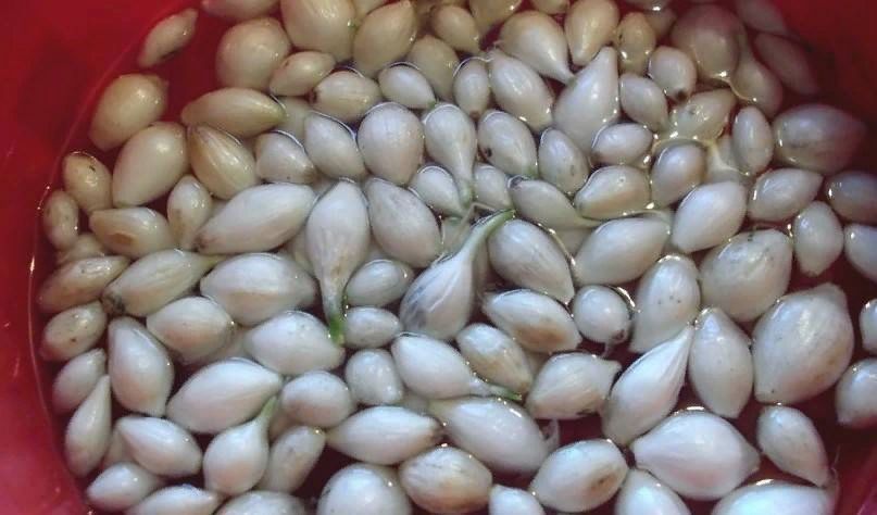 Замачивание лука в содовый раствор: полезные аспекты и предостережения