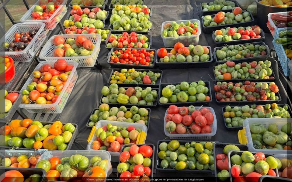 ������, ������� ��������� ������ ��������: ����� �������� ������