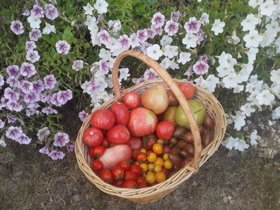 ��� ���� ������������ � ������ ������ ��� ������� ��������