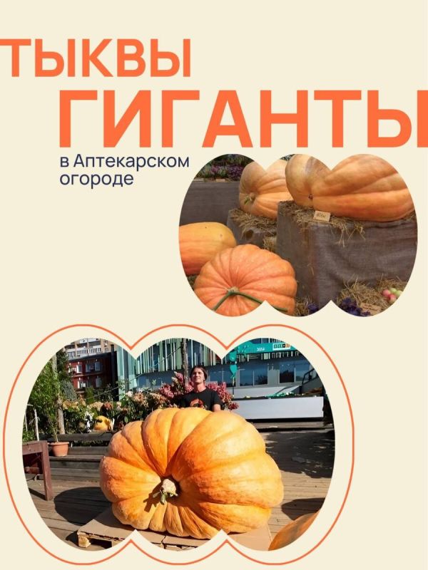 ��������� �������: �������� ���������� ������ � ����������� �������