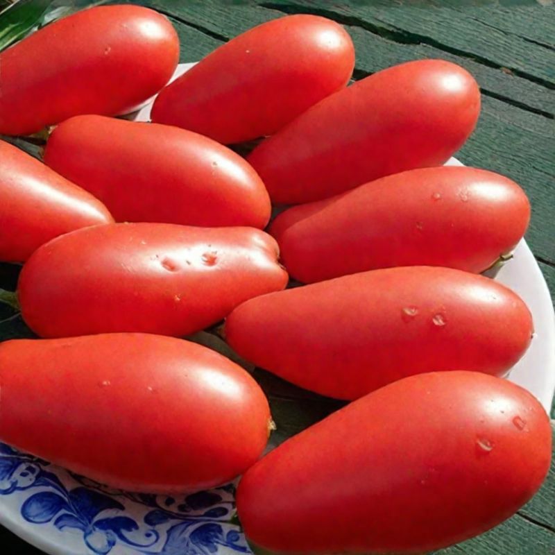 ������ ������� ��������: ��������� ����� ��� ���������������