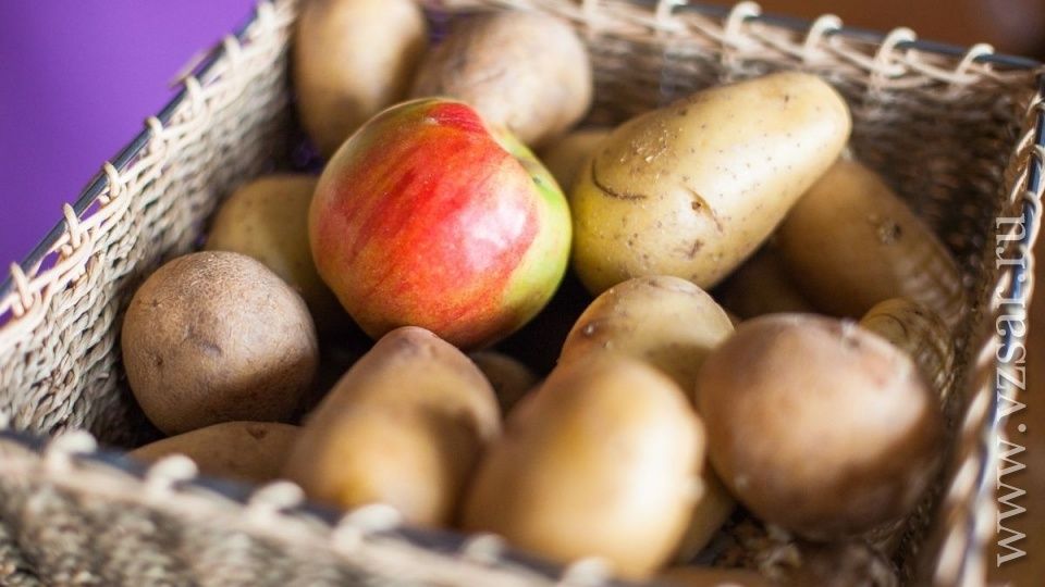 ����� ��������� ��� ��������� � �����: ���������, ������� �������� �������