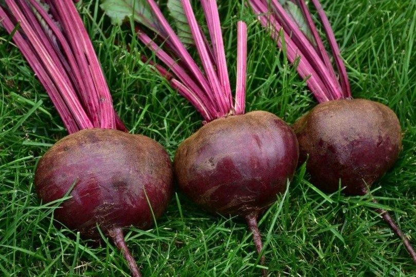 ��� ��������� �� ������ � �������: ������� ���������� ������