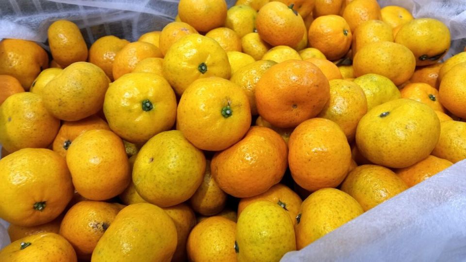 ��� �������� ��������� ��������� �� �����������: �������������� ������ �� ����� � ���������