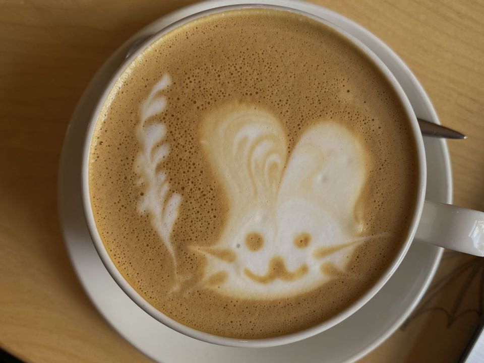 ����� �������� ������ ����� � ������: ���������� ������ �� �������� ���������