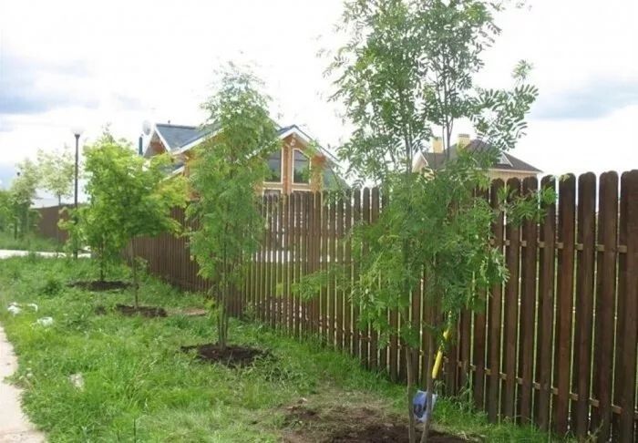 ��� �������� ���� �������, ���� ������ �������� ������� ������� ������ � �������