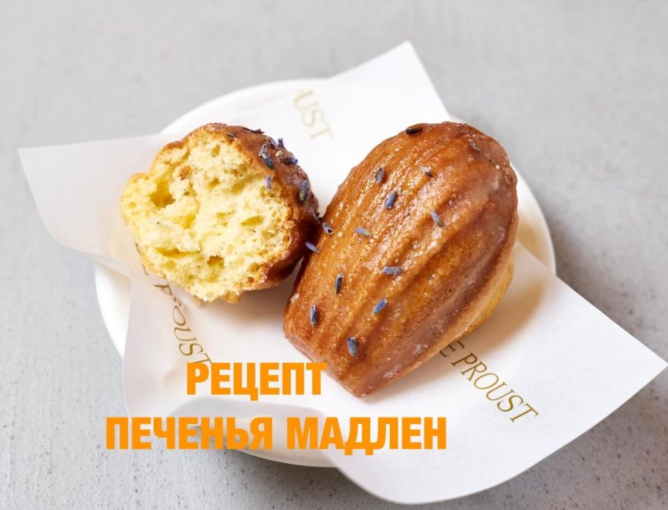 ����������� ��������� ������: ������� � �������� �������������