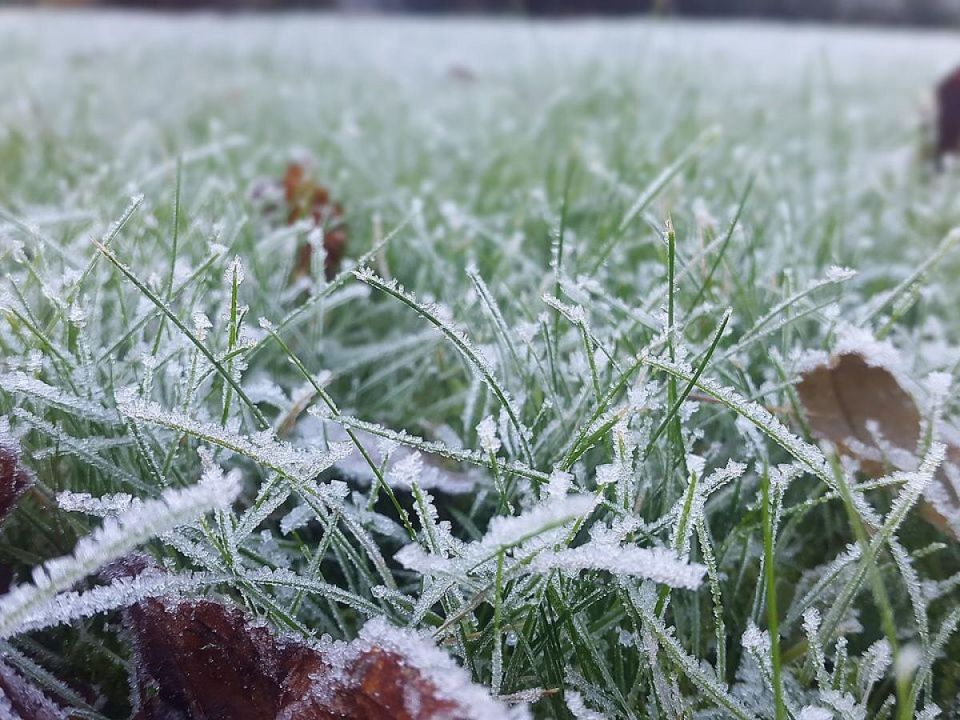 ��� �������� ������ �� ����������: ������ ��� ���������