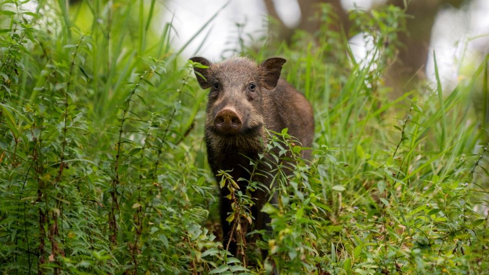 ����� ������������: ������ ��������, ��� ������ ��� ������� � �������