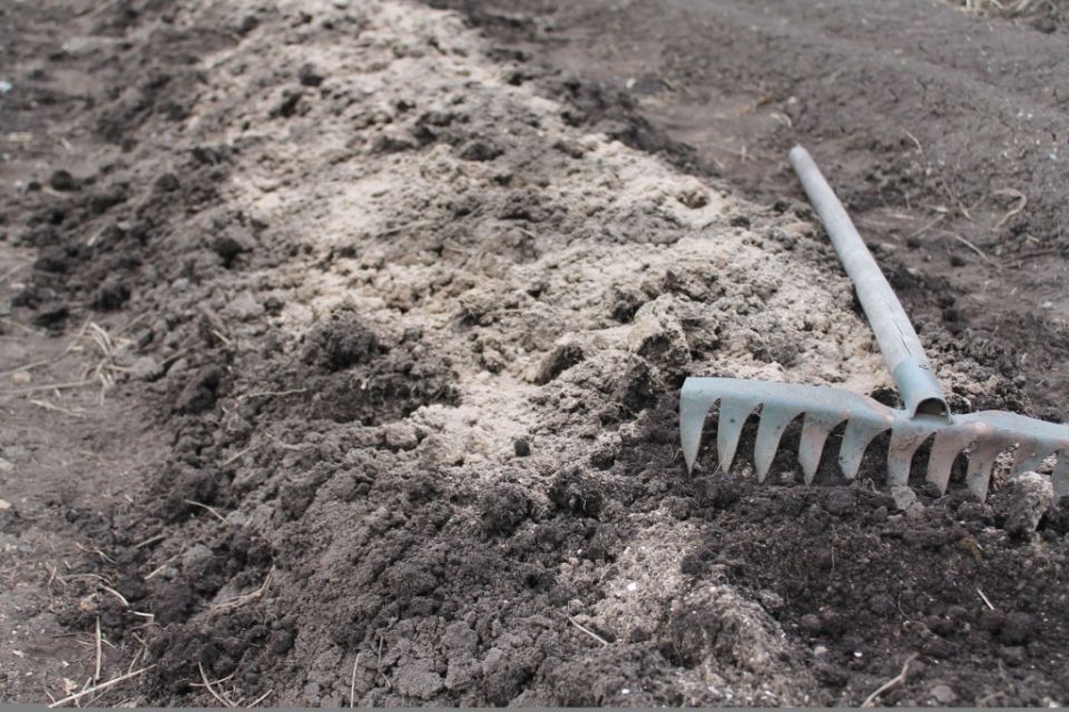 Профессиональные советы по рыхлению почвы для отличного урожая