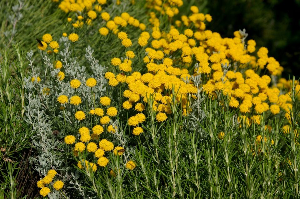 ��� ��������� conquering ������� ������: ������� ���������