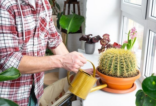 ��� ��������� ������� �����: �������� ������ ��� ���������