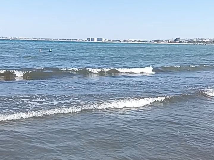 ������ �������: ��� ��������� ����� � ����