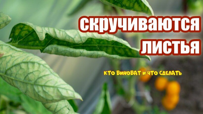 ������� ������� ���������� �� ������������ ������� � ������� � �����