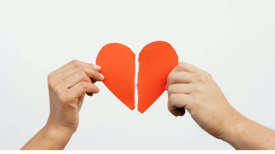 ��� ��������-������ ������������� ����������� ��������