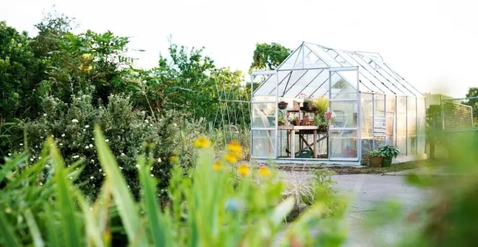 ������� � �������: �������� �������� � ������ �� ������