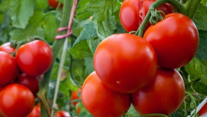 �� ������� ����� ��������� ��������������� ������: 7 ������, ������� �� ��������