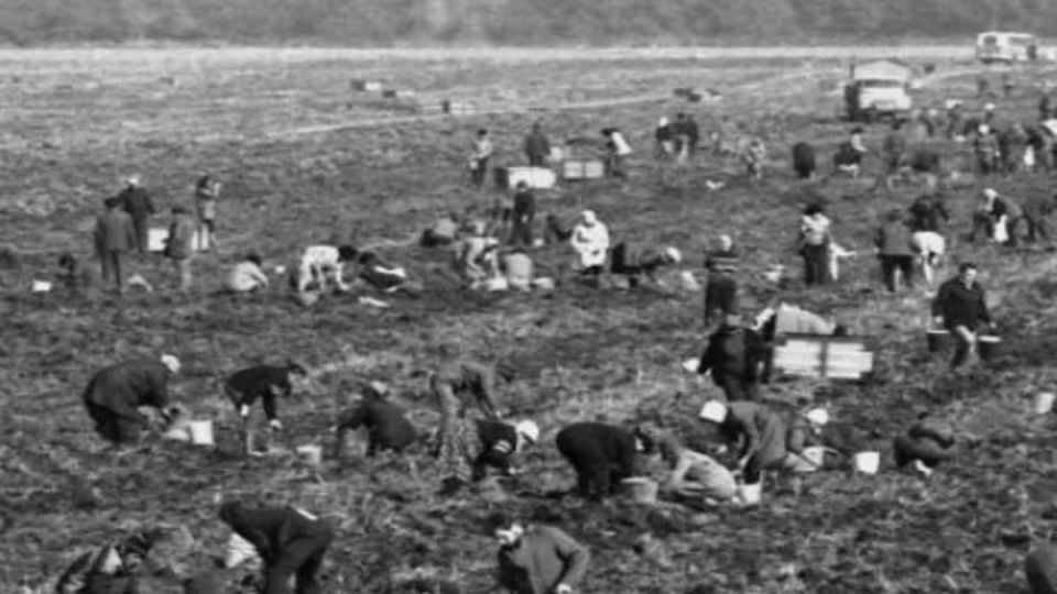 ���������� � ����������: ����� ������������ � �������