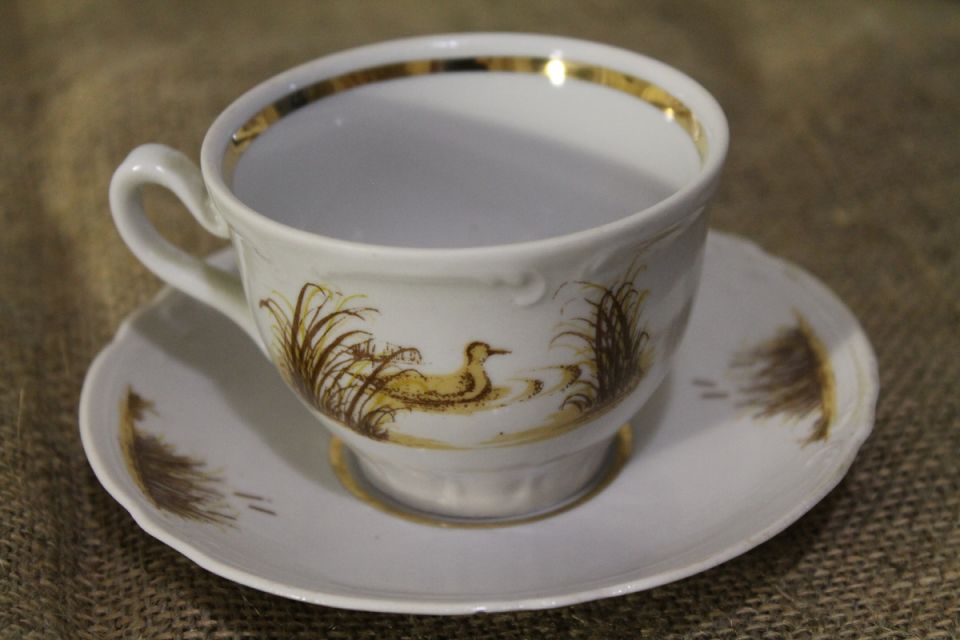 ������� ��������� �������� ���������� ����