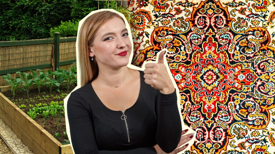 ������ ��������� ����� ��� ����������: ��� ��� � ��� ������ ������� ��������