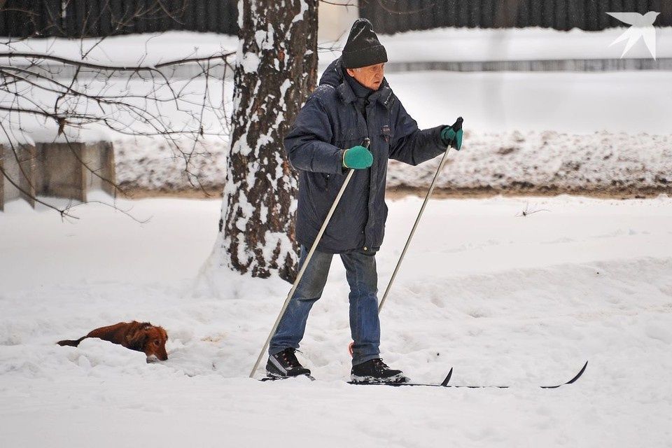 ���������� ������� � ��������: ��� ����� ����� � �������� ���������