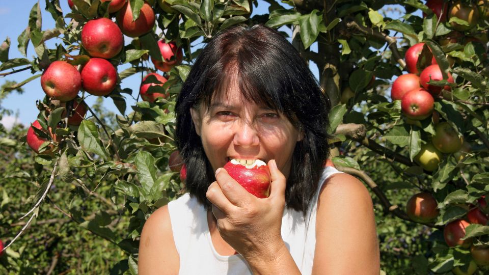 ������ ���������� ��������� ������� � ���� ������: ���� ������ ���