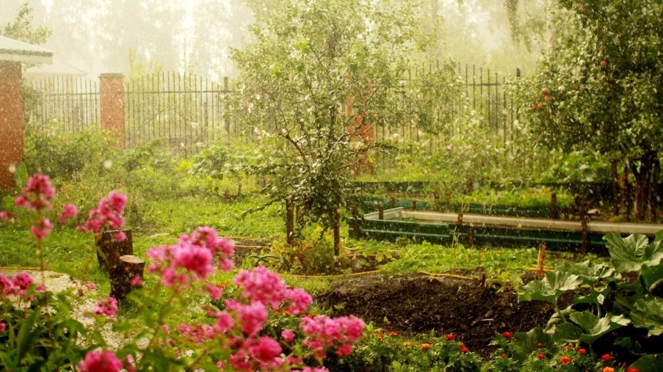 ��� ���������� � ��������� �����������: ������� ����������� ������ � ����