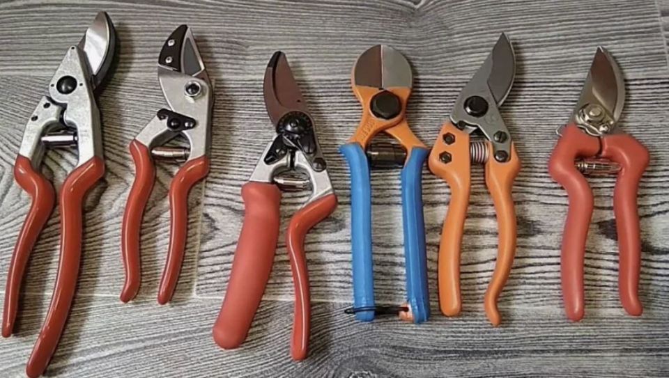 ��� ������� ��������� �������: ������� ������� ���������