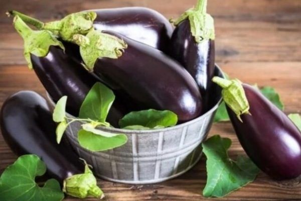 Почему баклажан Жизель заслуживает внимания: секреты его успеха