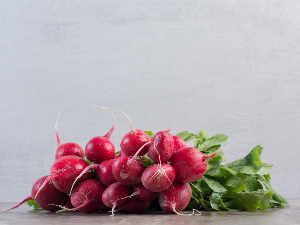 Эффективные способы посева редиса без прореживания