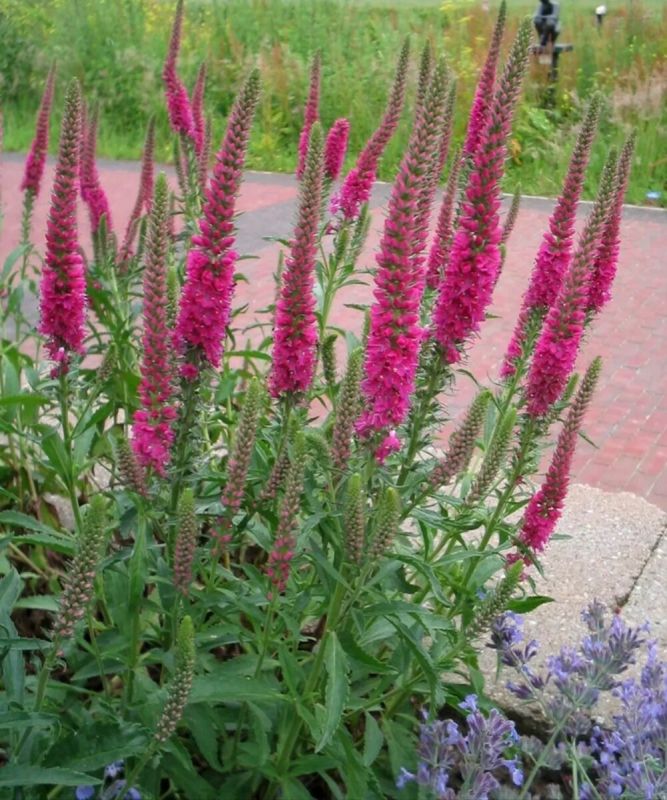 �������� ����������: ��������� ����������� �������� ��� ������ ����