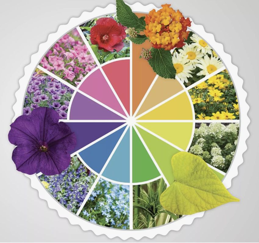 ������� ��� �����: ��� ������� ��������� �������� ��������� ��� ������ ����