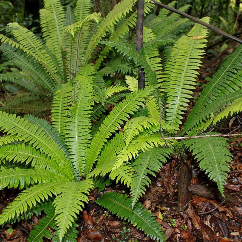 ��������, ������� ����� ������� �� ����� ���������� ���������