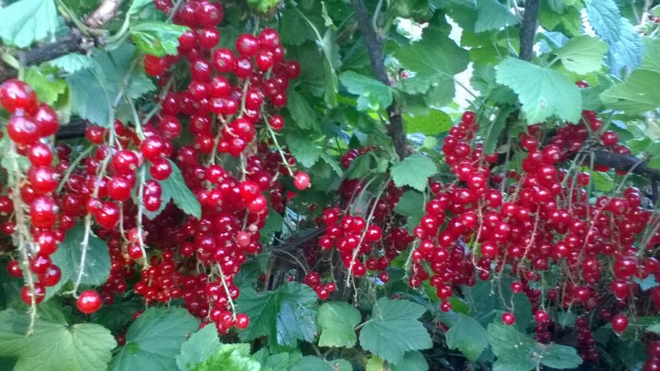 �������� ����: ��������� ����� ������ ��� ������ �������