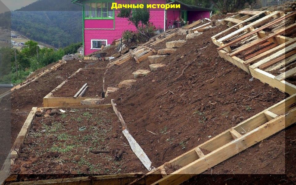 ��� �������� ����� �� �������: ��������� �������� ��� ���������� � �������������