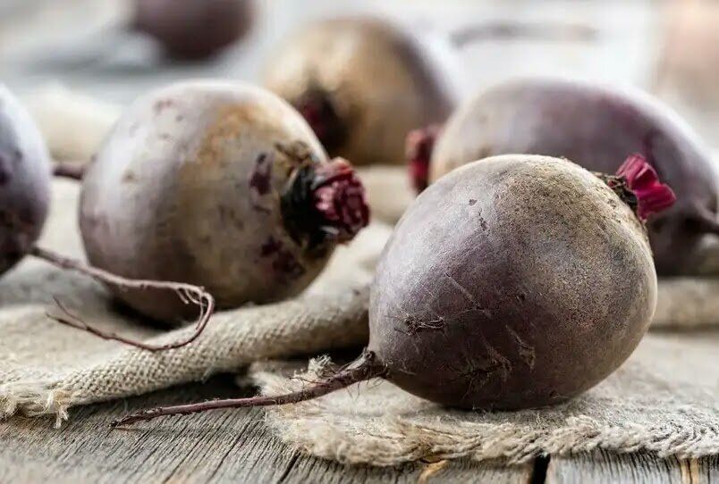 Подкормка свеклы в июле: полезные советы и мифы о удобрениях