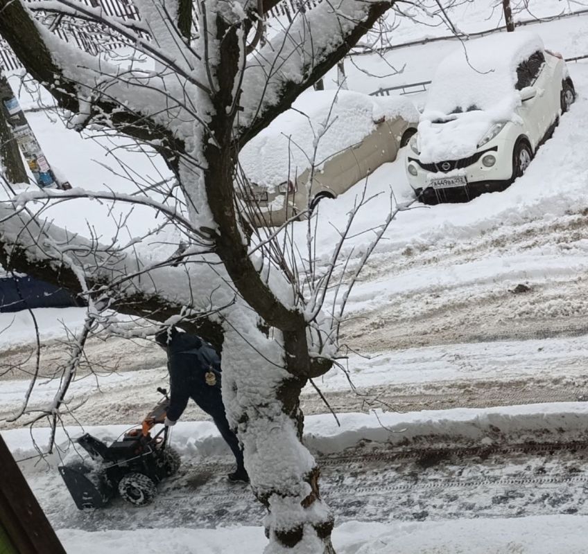 ������ ������ � ������ ���������: ������ ����������� � ������� ������