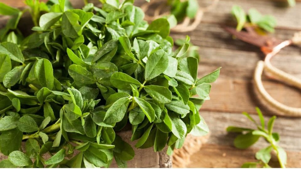 ��������: ������� �������� � ������������ ������������������