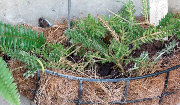 ���������: ����� ������ �������� � ����� ����