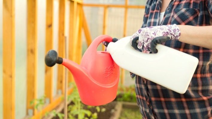 ��� ��������� ������� ������ ��� �����: ����������� ������ ������ �� ���������