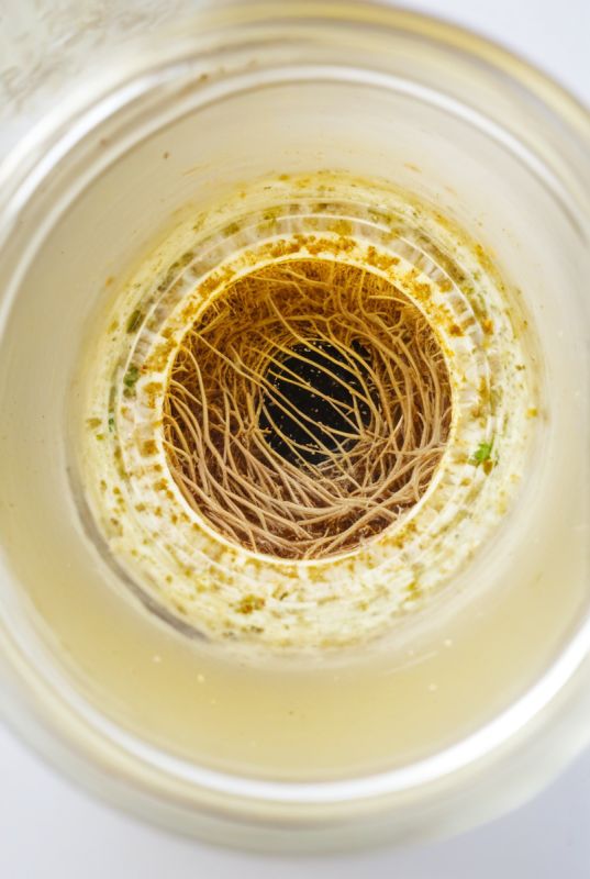 Биопрепарат для прочистки труб: как работает и в чем его преимущество